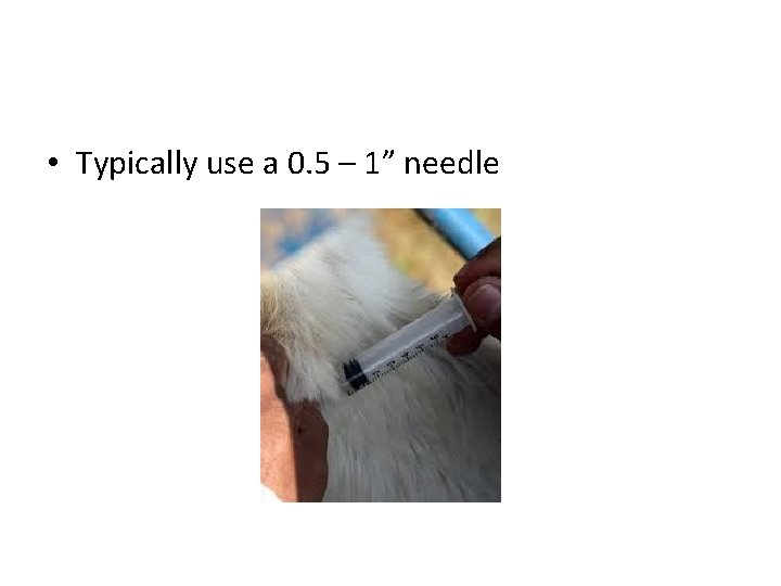  • Typically use a 0. 5 – 1” needle 