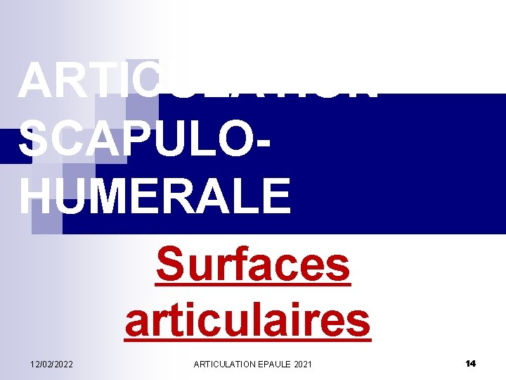 ARTICULATION SCAPULOHUMERALE Surfaces articulaires 12/02/2022 ARTICULATION EPAULE 2021 14 