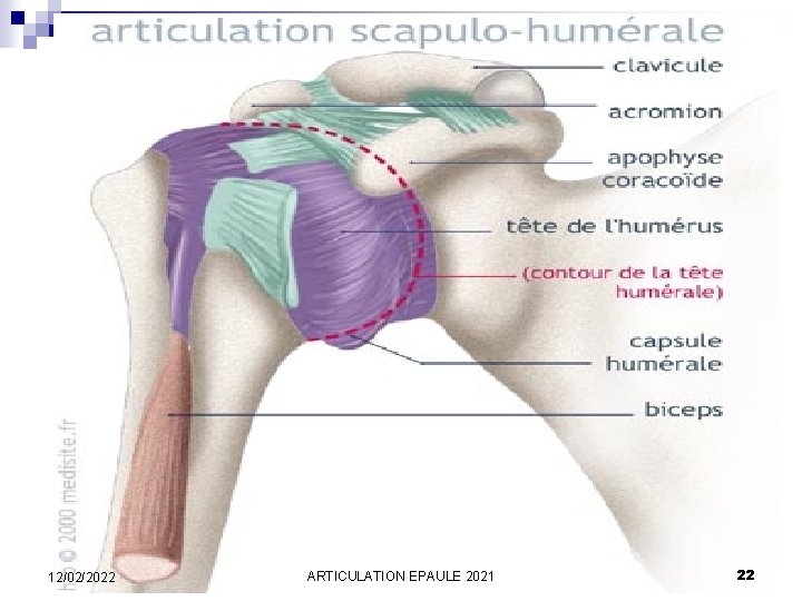 12/02/2022 ARTICULATION EPAULE 2021 22 