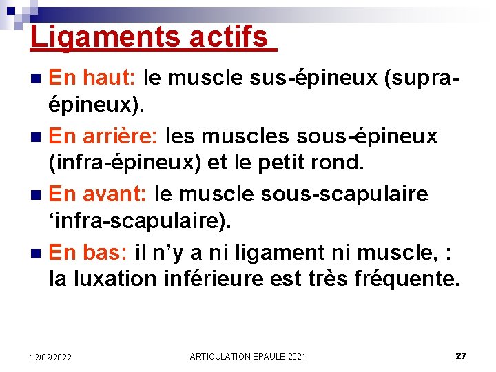 Ligaments actifs En haut: le muscle sus-épineux (supraépineux). n En arrière: les muscles sous-épineux