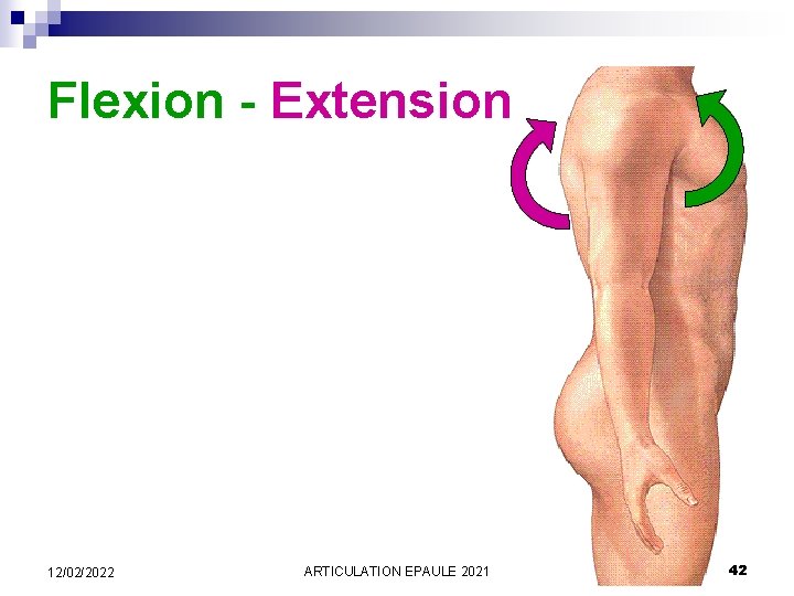 Flexion - Extension 12/02/2022 ARTICULATION EPAULE 2021 42 