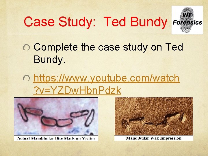 Case Study: Ted Bundy Complete the case study on Ted Bundy. https: //www. youtube.