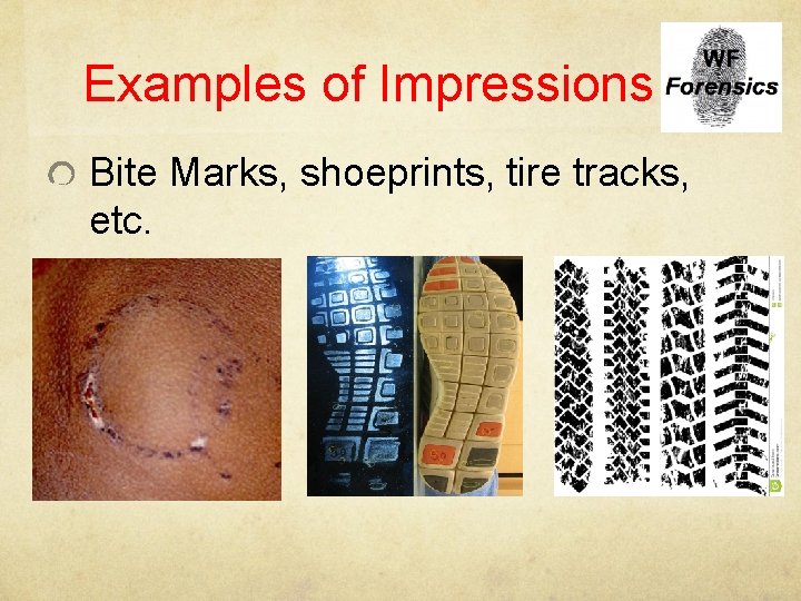 Examples of Impressions Bite Marks, shoeprints, tire tracks, etc. 