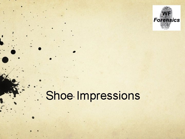 Shoe Impressions 