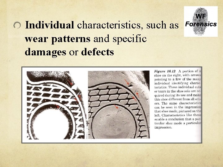 Individual characteristics, such as wear patterns and specific damages or defects 