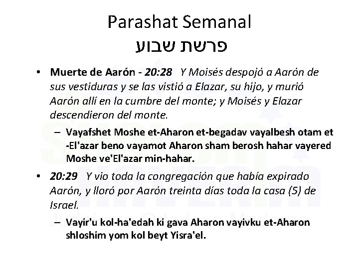 Parashat Semanal פרשת שבוע • Muerte de Aarón - 20: 28 Y Moisés despojó