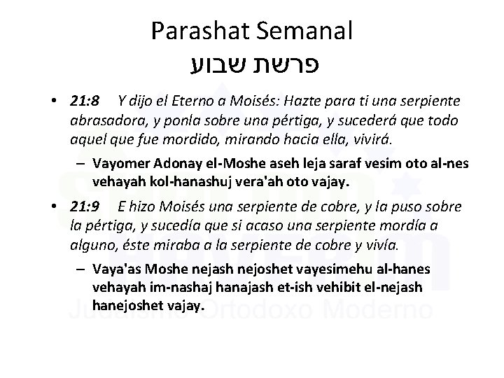 Parashat Semanal פרשת שבוע • 21: 8 Y dijo el Eterno a Moisés: Hazte