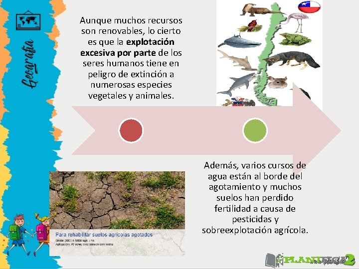 Aunque muchos recursos son renovables, lo cierto es que la explotación excesiva por parte