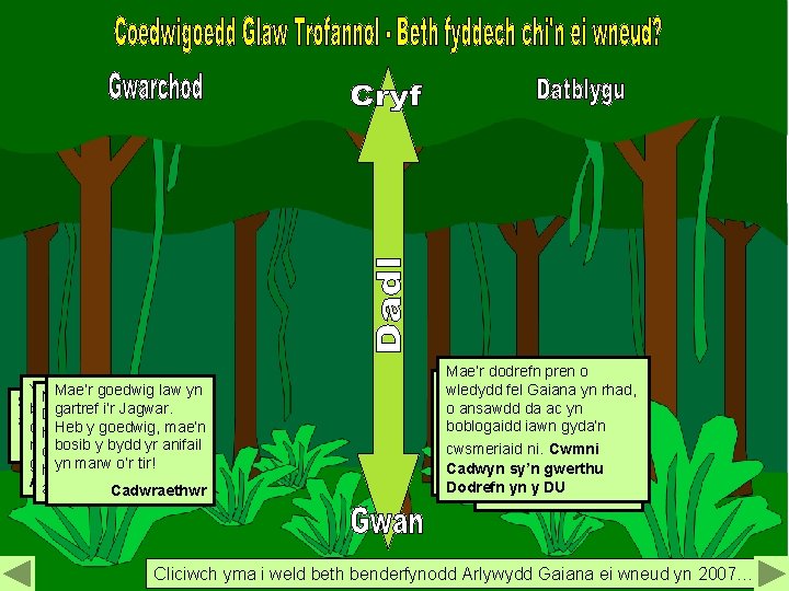 Y Mae goedwig Mae’r goedwig law ywfelein law gwledydd y yn Sut arall allwn