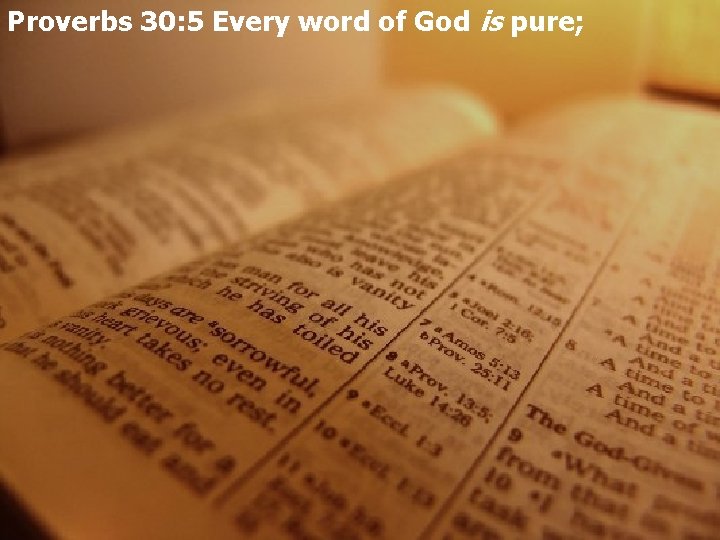 Proverbs 30: 5 Every word of God is pure; 