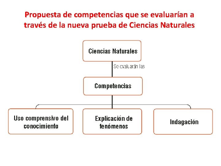 Propuesta de competencias que se evaluarían a través de la nueva prueba de Ciencias