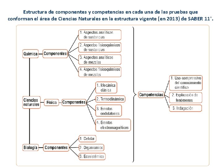 Estructura de componentes y competencias en cada una de las pruebas que conforman el