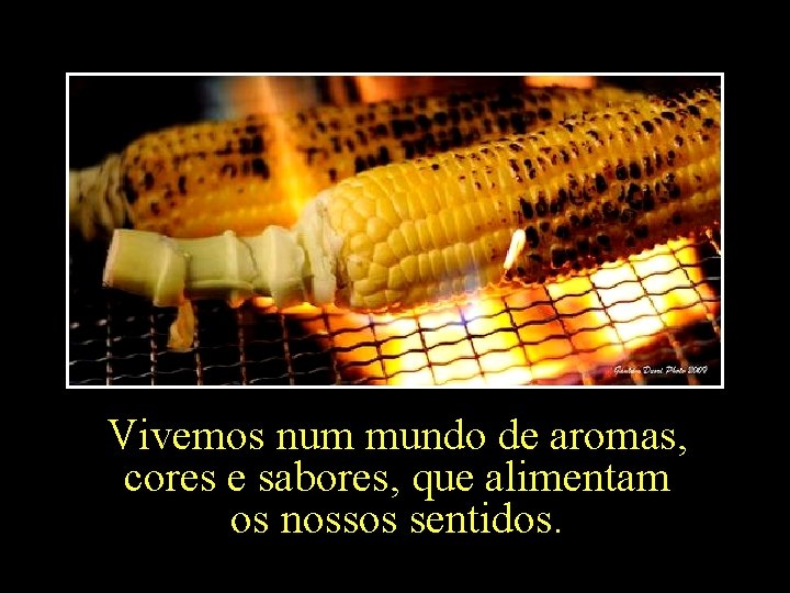 Vivemos num mundo de aromas, cores e sabores, que alimentam os nossos sentidos. 