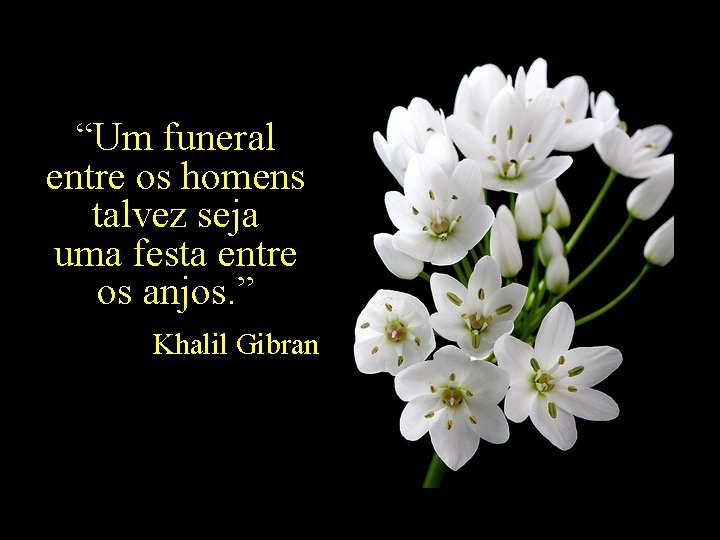 “Um funeral entre os homens talvez seja uma festa entre os anjos. ” Khalil