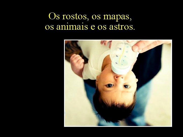 Os rostos, os mapas, os animais e os astros. 