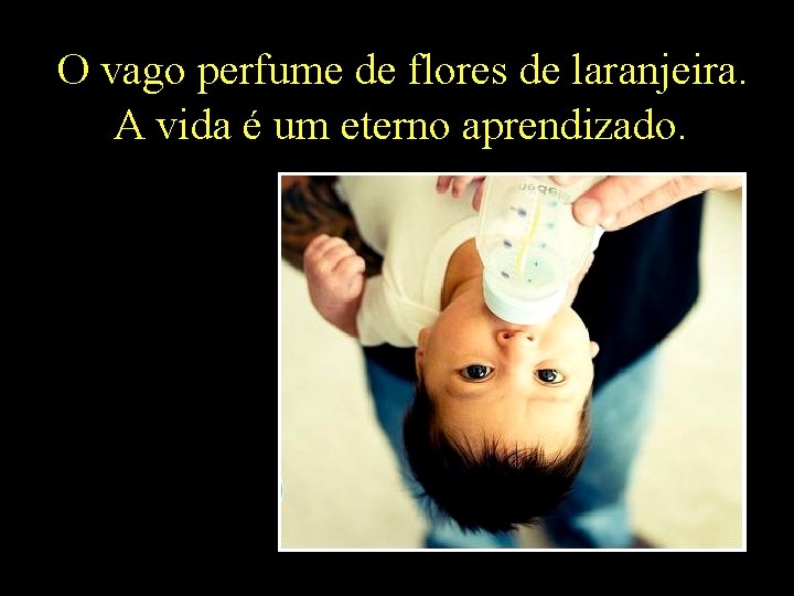 O vago perfume de flores de laranjeira. A vida é um eterno aprendizado. 