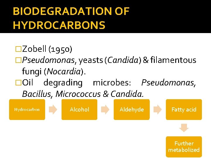 BIODEGRADATION OF HYDROCARBONS �Zobell (1950) �Pseudomonas, yeasts (Candida) & filamentous fungi (Nocardia). �Oil degrading