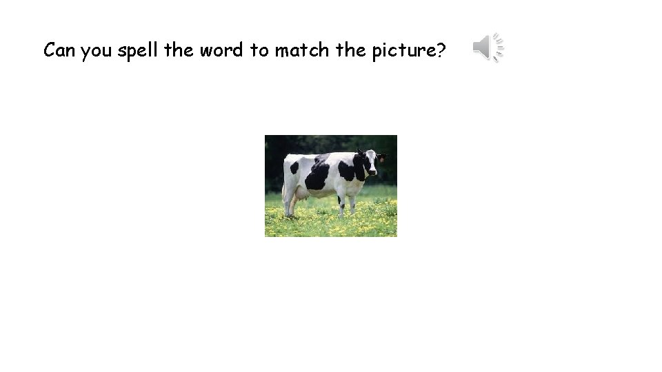 Can you spell the word to match the picture? 