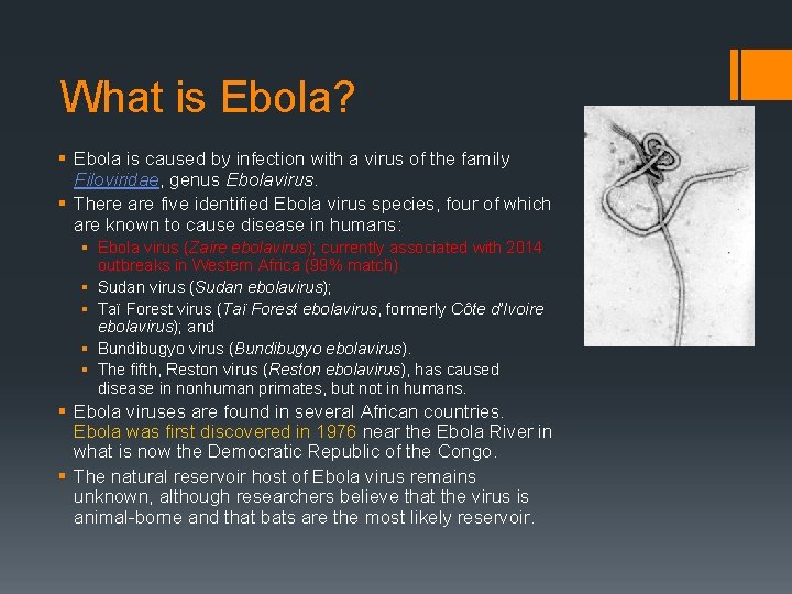What is Ebola? § Ebola is caused by infection with a virus of the