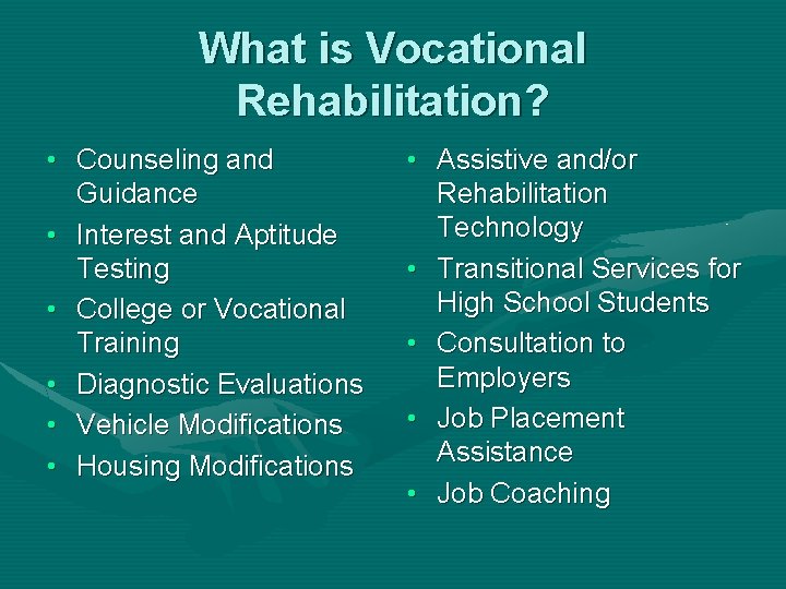 What is Vocational Rehabilitation? • Counseling and Guidance • Interest and Aptitude Testing •