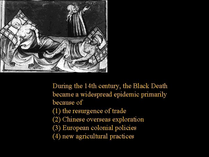 During the 14 th century, the Black Death became a widespread epidemic primarily because
