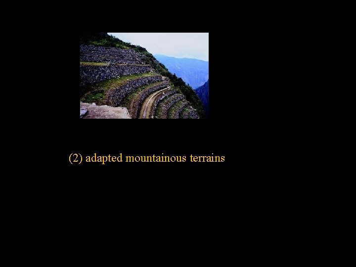 (2) adapted mountainous terrains 