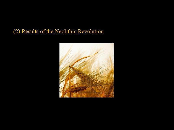 (2) Results of the Neolithic Revolution 
