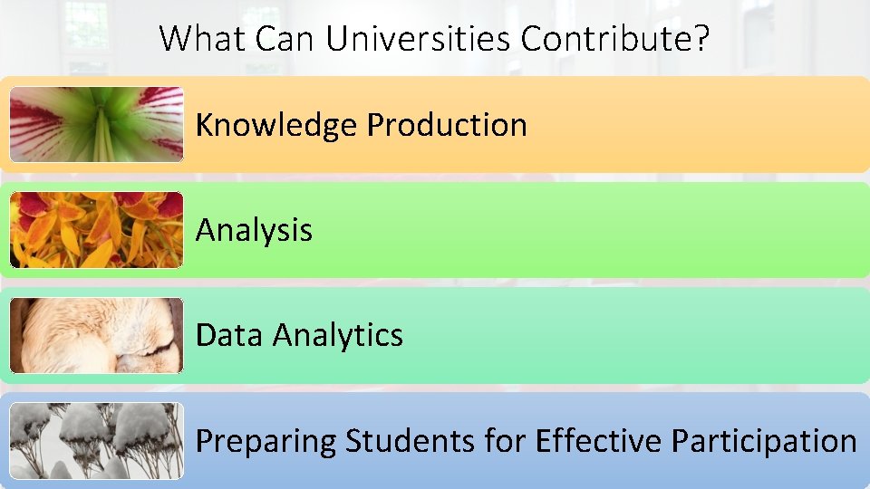 What Can Universities Contribute? Knowledge Production Analysis Data Analytics Preparing Students for Effective Participation