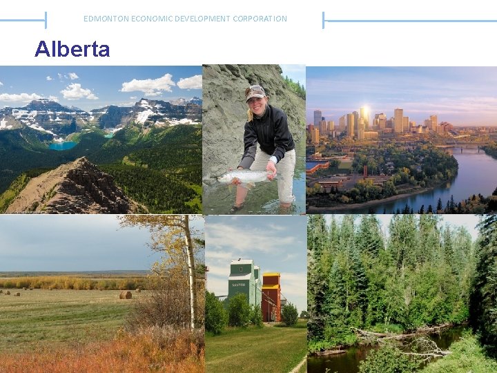 EDMONTON ECONOMIC DEVELOPMENT CORPORATION Edmonton, Alberta, Canada Alberta Mike Wo 2011 Executive Director Economic