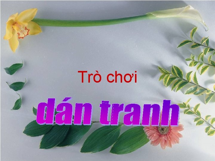 Trò chơi 