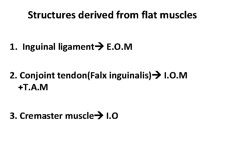 Structures derived from flat muscles 1. Inguinal ligament E. O. M 2. Conjoint tendon(Falx Structures derived from flat muscles 1. Inguinal ligament E. O. M 2. Conjoint tendon(Falx