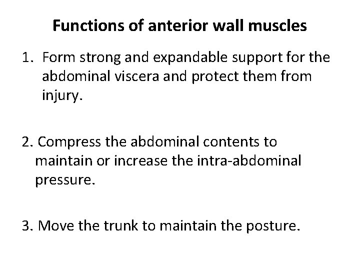 Functions of anterior wall muscles 1. Form strong and expandable support for the abdominal Functions of anterior wall muscles 1. Form strong and expandable support for the abdominal