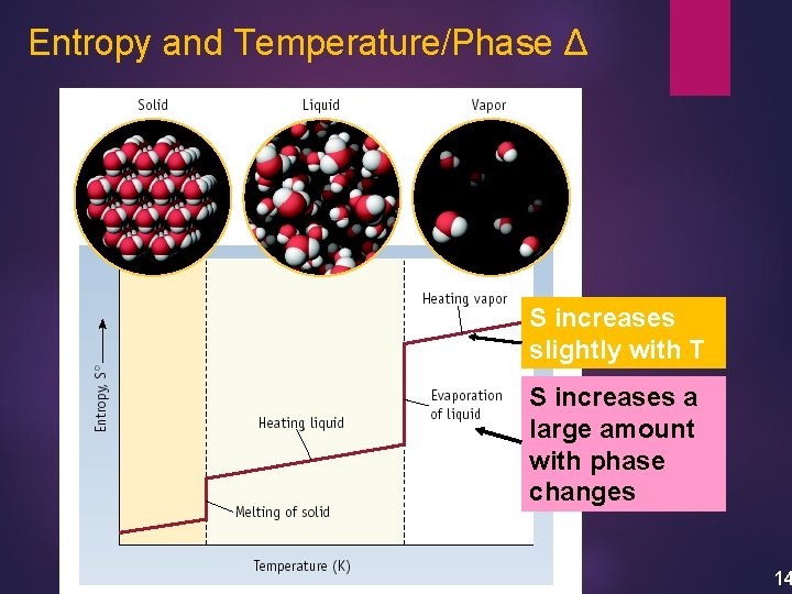 Entropy and Temperature/Phase Δ S increases slightly with T S increases a large amount