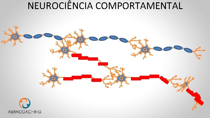 NEUROCIÊNCIA COMPORTAMENTAL 