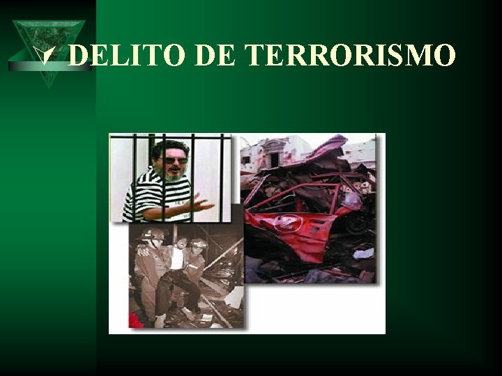Ú DELITO DE TERRORISMO 