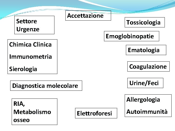 Settore Urgenze Accettazione Tossicologia Emoglobinopatie Chimica Clinica Ematologia Immunometria Coagulazione Sierologia Diagnostica molecolare RIA,