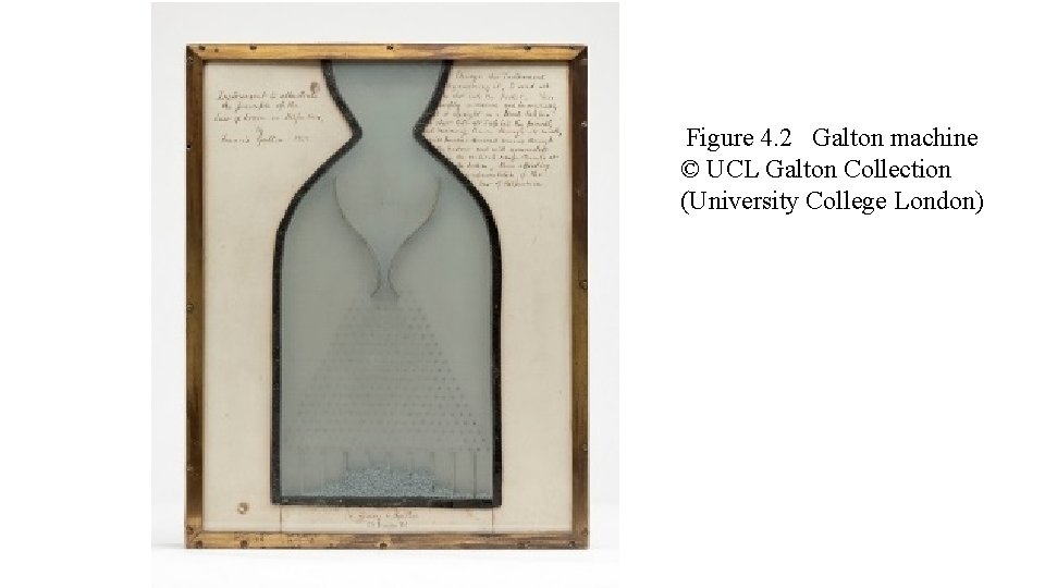 Figure 4. 2 Galton machine © UCL Galton Collection (University College London) 