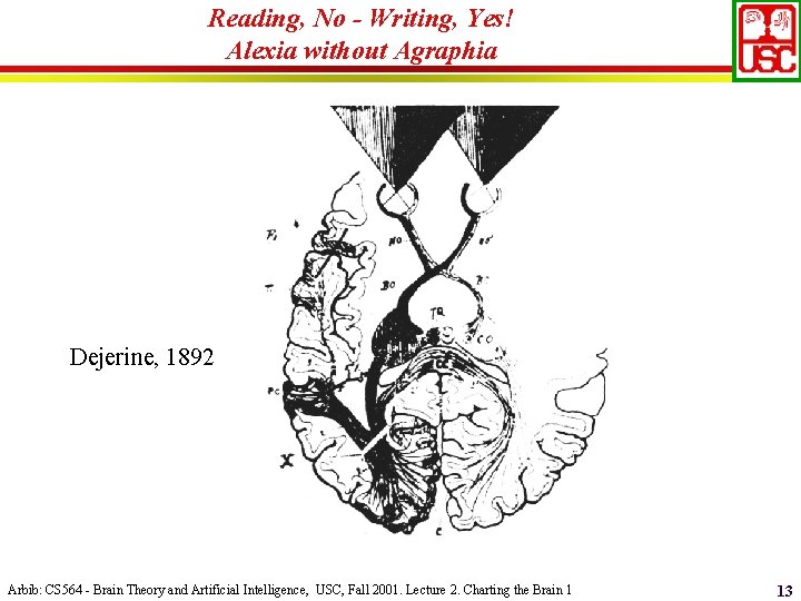 Reading, No - Writing, Yes! Alexia without Agraphia Dejerine, 1892 Arbib: CS 564 -