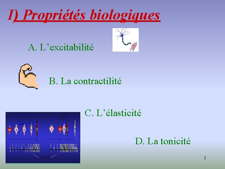 Chapitre 5 I Proprits Biologiques II Phnomnes Biologiques