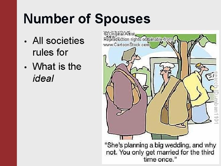 Number of Spouses • • All societies rules for What is the ideal have