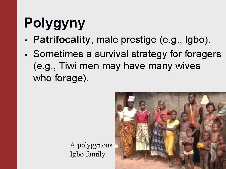 Polygyny • • Patrifocality, male prestige (e. g. , Igbo). Sometimes a survival strategy