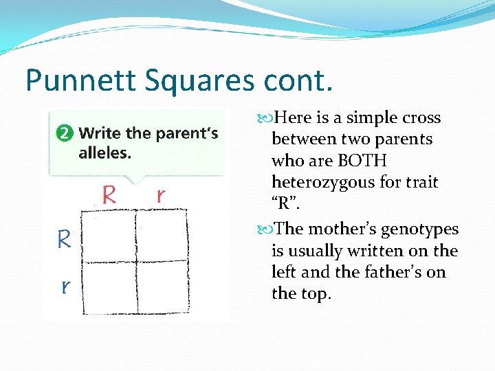 Punnett Squares cont. Here is a simple cross between two parents who are BOTH