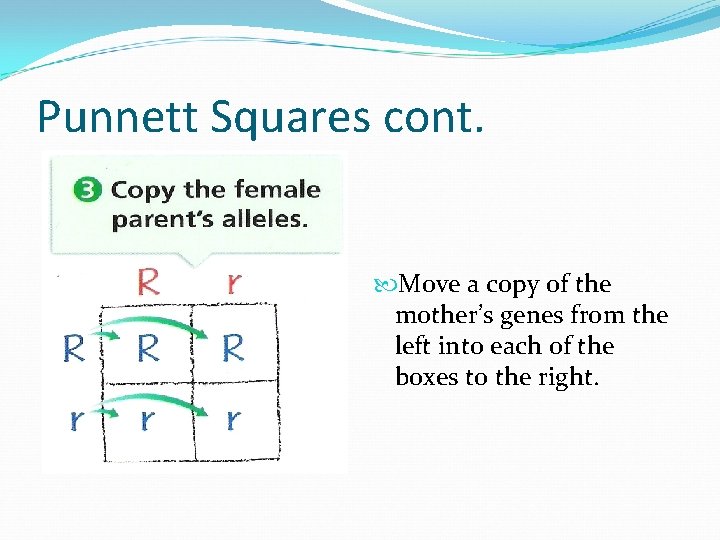 Punnett Squares cont. Move a copy of the mother’s genes from the left into