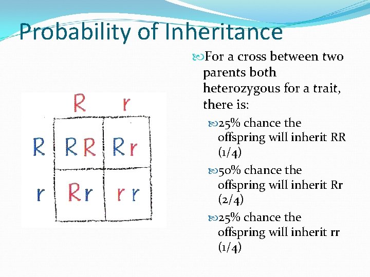 Probability of Inheritance For a cross between two parents both heterozygous for a trait,