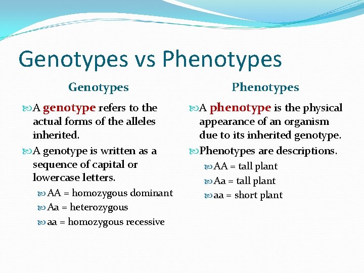 Genotypes vs Phenotypes Genotypes A genotype refers to the actual forms of the alleles