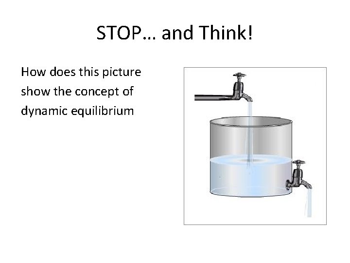 STOP… and Think! How does this picture show the concept of dynamic equilibrium 