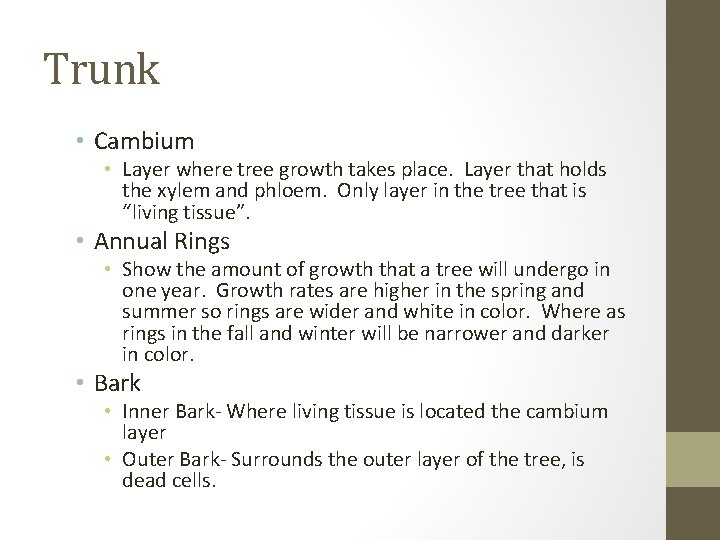 Trunk • Cambium • Layer where tree growth takes place. Layer that holds the