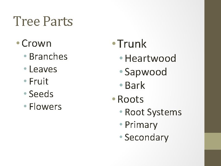 Tree Parts • Crown • Branches • Leaves • Fruit • Seeds • Flowers