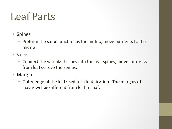 Leaf Parts • Spines • Preform the same function as the midrib, move nutrients