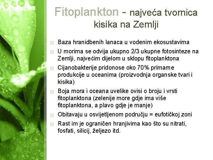 Fitoplankton - najveća tvornica kisika na Zemlji Baza hranidbenih lanaca u vodenim ekosustavima U